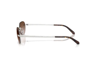 Vue latérale Ralph Lauren RL7089 (900113)