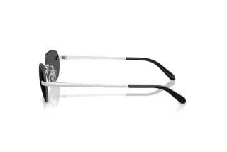 Vue latérale Ralph Lauren RL7089 (900187)