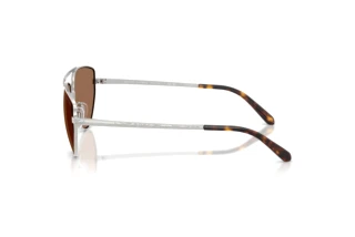 Vue latérale Ralph Lauren RL7090 (900173)
