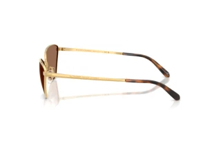 Vue latérale Ralph Lauren RL7093 (900473)