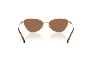 Vue arrière Ralph Lauren RL7093 (900473)