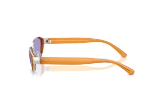 Vue latérale Ralph Lauren RL7094 (90011A)