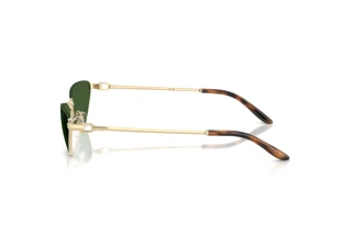 Vue latérale Ralph Lauren RL7095 (911671)