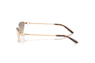 Vue latérale Ralph Lauren RL7095 (94876E)