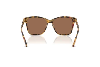 Vue arrière Ralph Lauren RL8201 (500473)