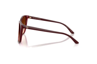 Vue latérale Ralph Lauren RL8201 (591274)