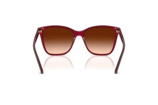 Vue arrière Ralph Lauren RL8201 (591274)