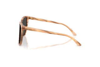 Vue latérale Ralph Lauren RL8201 (617987)