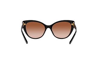 Vue arrière Ralph Lauren RL8215BU (500113)