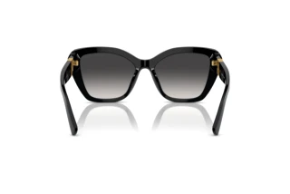 Vue arrière Ralph Lauren THE ISABEL (RL8216U - 50018G)