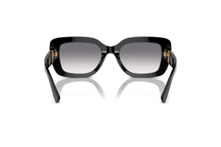 Vue arrière Ralph Lauren THE NIKKI (RL8217U - 500179)