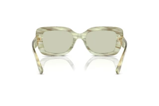 Vue arrière Ralph Lauren THE NIKKI (RL8217U - 6109/2)