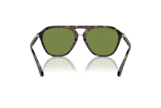 Vue arrière Ralph Lauren THE HUGH (RL8219U - 50034E)