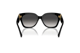 Vue arrière Ralph Lauren THE OVERSZED RICKY (RL8221 - 50018G)