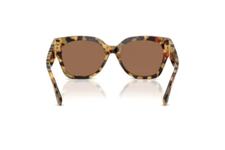 Vue arrière Ralph Lauren THE OVERSZED RICKY (RL8221 - 500473)