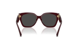 Vue arrière Ralph Lauren THE OVERSZED RICKY (RL8221 - 508387)