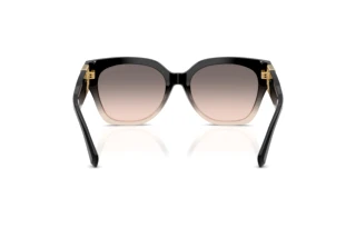 Vue arrière Ralph Lauren THE OVERSZED RICKY (RL8221 - 60223B)