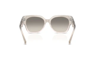 Vue arrière Ralph Lauren THE OVERSZED RICKY (RL8221 - 611208)