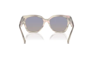 Vue arrière Ralph Lauren THE OVERSZED RICKY (RL8221 - 61774L)