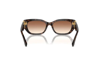 Vue arrière Ralph Lauren THE BRIDGET (RL8222 - 500313)