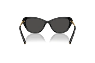 Vue arrière Ralph Lauren THE ELLA (RL8224U - 500187)