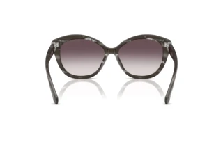 Vue arrière Ralph Lauren RL8225U (617511)