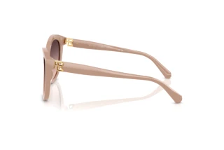 Vue latérale Ralph Lauren RL8225U (6218U8)