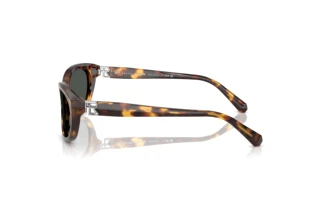 Vue latérale Ralph Lauren RL8226U (513487)