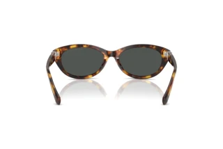 Vue arrière Ralph Lauren RL8226U (513487)