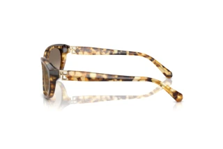 Vue latérale Ralph Lauren RL8226U (60566Y)