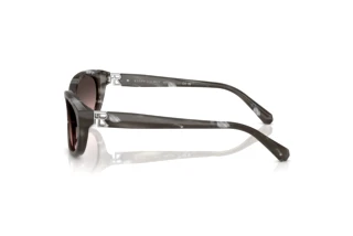 Vue latérale Ralph Lauren RL8226U (617546)