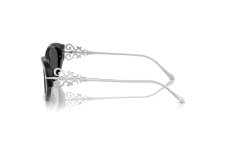 Vue latérale Ralph Lauren RL8227U (500187)