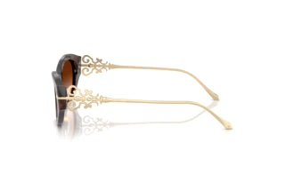 Vue latérale Ralph Lauren RL8227U (500374)