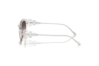 Vue latérale Ralph Lauren RL8227U (611208)