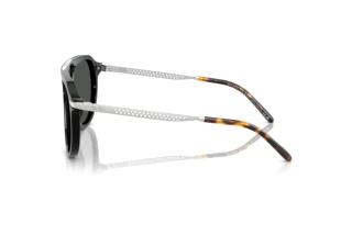 Vue latérale Ralph Lauren RL8228U (500187)