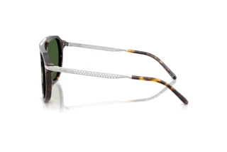 Vue latérale Ralph Lauren RL8228U (500371)