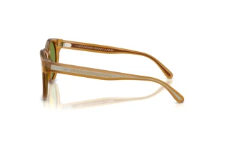 Vue latérale Ralph Lauren RL8229U (52754E)