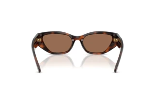 Vue arrière Ralph Lauren RL8231U (624173)