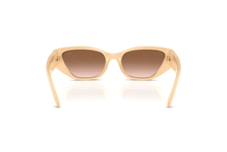 Vue arrière Ralph Lauren RL8231U (624513)