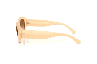 Vue latérale Ralph Lauren RL8232U (624513)