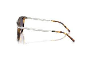 Vue latérale Ralph Lauren RL8233U (51341A)