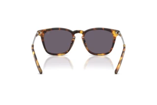 Vue arrière Ralph Lauren RL8233U (51341A)