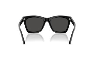 Vue arrière Ralph Lauren RL8235U (500187)