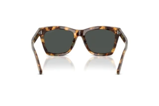 Vue arrière Ralph Lauren RL8235U (617887)