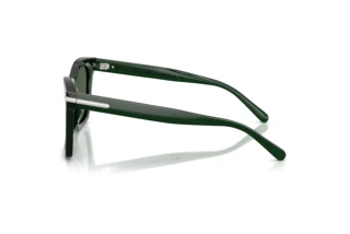Vue latérale Ralph Lauren RL8235U (630471)