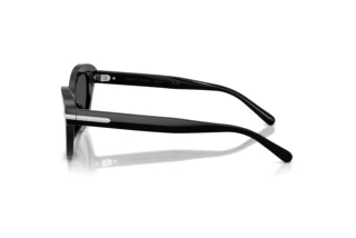 Vue latérale Ralph Lauren RL8236U (500187)