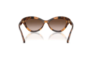 Vue arrière Ralph Lauren RL8236U (608913)