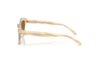 Vue latérale Ralph Lauren RL8236U (617673)