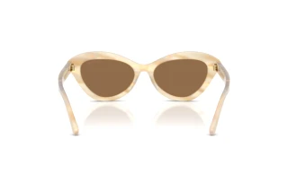 Vue arrière Ralph Lauren RL8236U (617673)