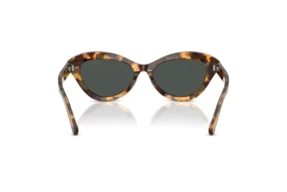 Vue arrière Ralph Lauren RL8236U (617887)